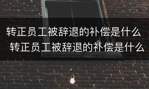 转正员工被辞退的补偿是什么 转正员工被辞退的补偿是什么时候发