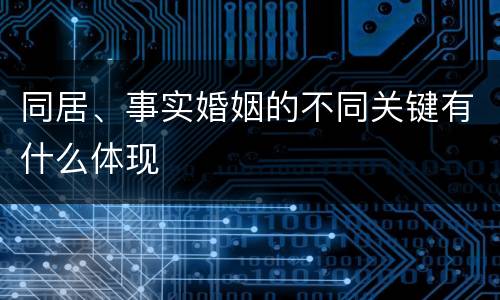 同居、事实婚姻的不同关键有什么体现