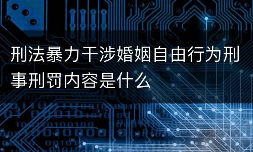 刑法暴力干涉婚姻自由行为刑事刑罚内容是什么