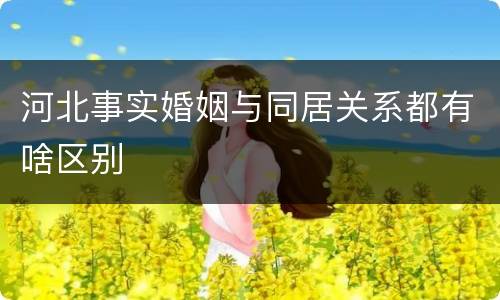 河北事实婚姻与同居关系都有啥区别