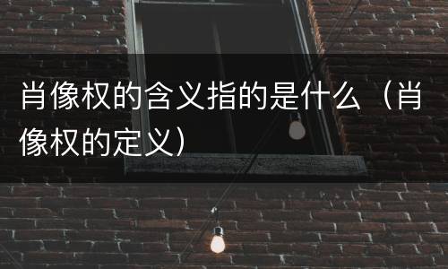 肖像权的含义指的是什么（肖像权的定义）