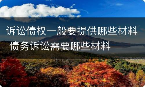 诉讼债权一般要提供哪些材料 债务诉讼需要哪些材料