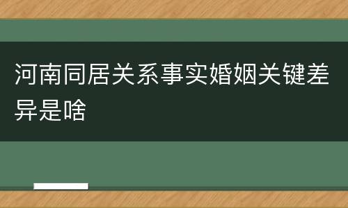 河南同居关系事实婚姻关键差异是啥