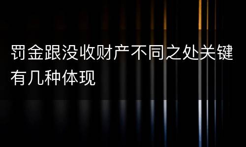 罚金跟没收财产不同之处关键有几种体现