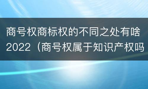 商号权商标权的不同之处有啥2022（商号权属于知识产权吗）