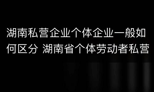 湖南私营企业个体企业一般如何区分 湖南省个体劳动者私营企业协会