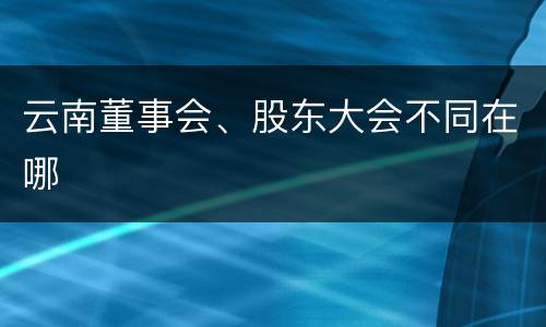 云南董事会、股东大会不同在哪