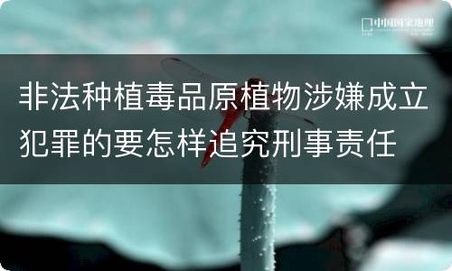 非法种植毒品原植物涉嫌成立犯罪的要怎样追究刑事责任