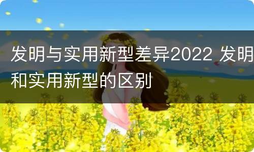 发明与实用新型差异2022 发明和实用新型的区别