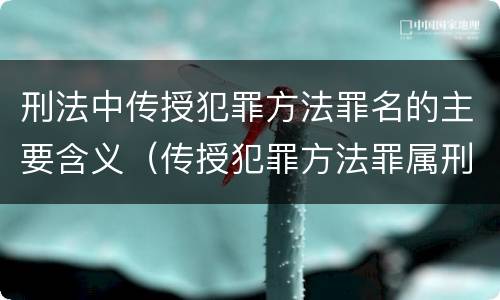 刑法中传授犯罪方法罪名的主要含义（传授犯罪方法罪属刑法规定的）