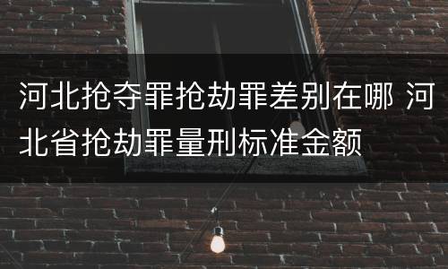 河北抢夺罪抢劫罪差别在哪 河北省抢劫罪量刑标准金额