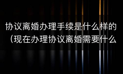 协议离婚办理手续是什么样的（现在办理协议离婚需要什么手续）