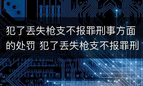 犯了丢失枪支不报罪刑事方面的处罚 犯了丢失枪支不报罪刑事方面的处罚标准