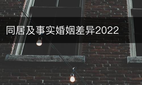 同居及事实婚姻差异2022