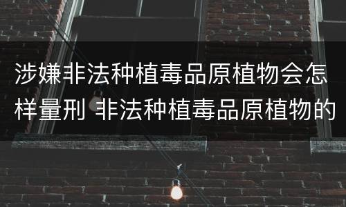 涉嫌非法种植毒品原植物会怎样量刑 非法种植毒品原植物的治安处罚