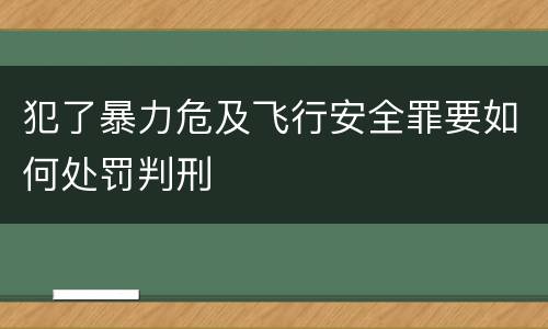 犯了暴力危及飞行安全罪要如何处罚判刑