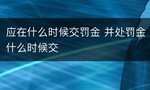 应在什么时候交罚金 并处罚金什么时候交