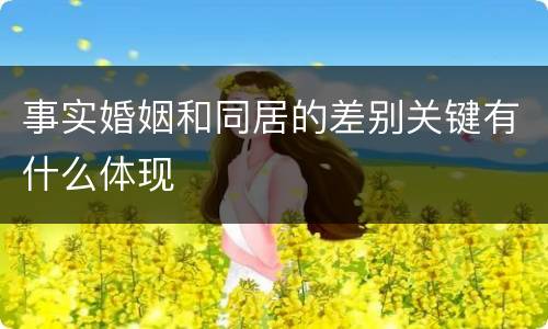 事实婚姻和同居的差别关键有什么体现