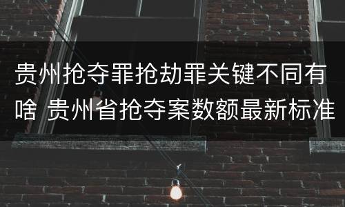 贵州抢夺罪抢劫罪关键不同有啥 贵州省抢夺案数额最新标准