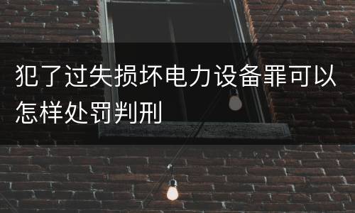 犯了过失损坏电力设备罪可以怎样处罚判刑