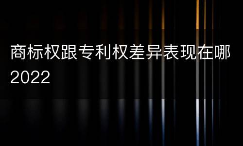 商标权跟专利权差异表现在哪2022