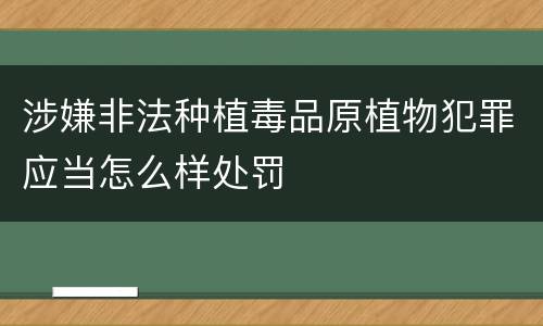 涉嫌非法种植毒品原植物犯罪应当怎么样处罚