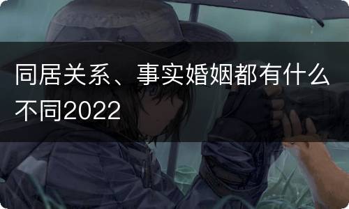 同居关系、事实婚姻都有什么不同2022