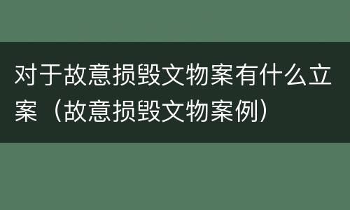 对于故意损毁文物案有什么立案（故意损毁文物案例）