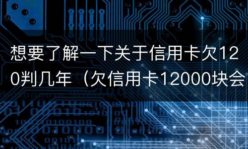 想要了解一下关于信用卡欠120判几年（欠信用卡12000块会被起诉吗）