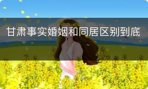 甘肃事实婚姻和同居区别到底