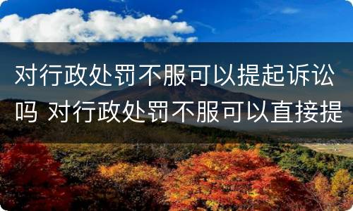 对行政处罚不服可以提起诉讼吗 对行政处罚不服可以直接提起诉讼吗