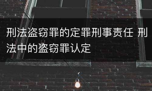 刑法盗窃罪的定罪刑事责任 刑法中的盗窃罪认定