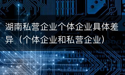 湖南私营企业个体企业具体差异（个体企业和私营企业）