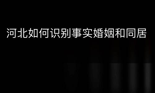 河北如何识别事实婚姻和同居