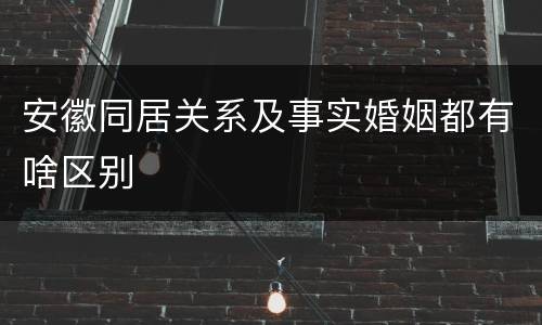 安徽同居关系及事实婚姻都有啥区别