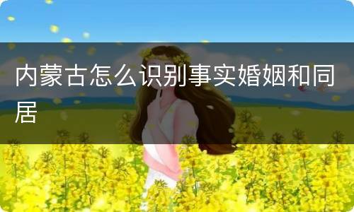 内蒙古怎么识别事实婚姻和同居