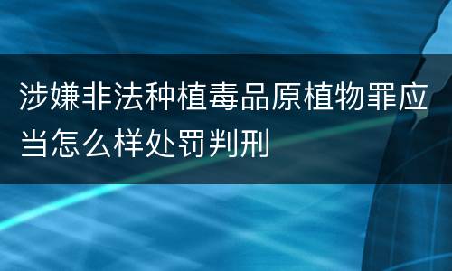 涉嫌非法种植毒品原植物罪应当怎么样处罚判刑