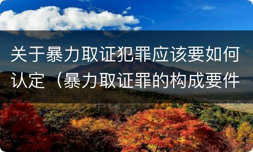 关于暴力取证犯罪应该要如何认定（暴力取证罪的构成要件）