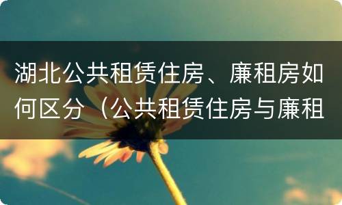 湖北公共租赁住房、廉租房如何区分（公共租赁住房与廉租房的区别）