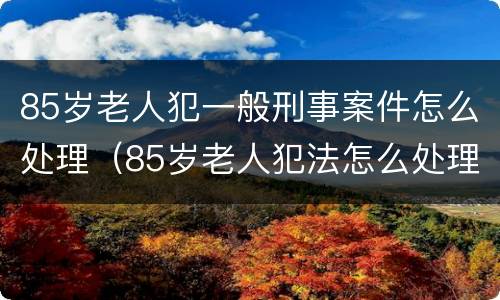 85岁老人犯一般刑事案件怎么处理（85岁老人犯法怎么处理）