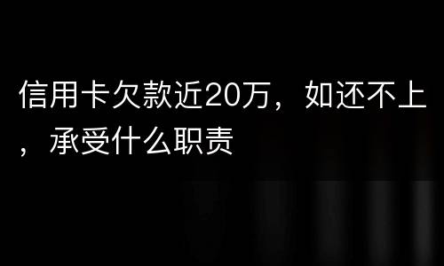 信用卡欠款近20万，如还不上，承受什么职责