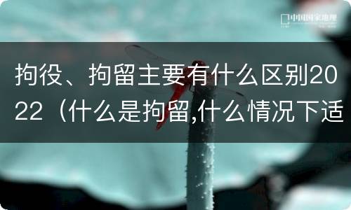 拘役、拘留主要有什么区别2022（什么是拘留,什么情况下适用拘留）