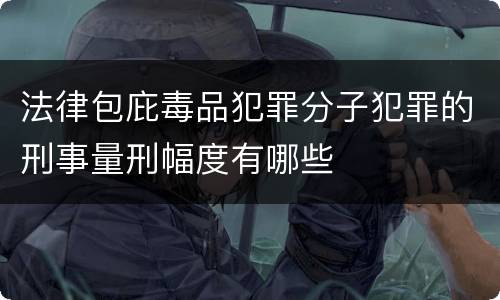 法律包庇毒品犯罪分子犯罪的刑事量刑幅度有哪些