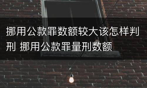 挪用公款罪数额较大该怎样判刑 挪用公款罪量刑数额