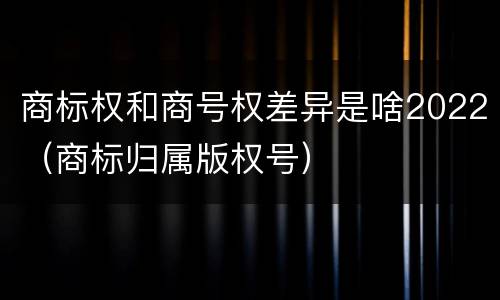 商标权和商号权差异是啥2022（商标归属版权号）