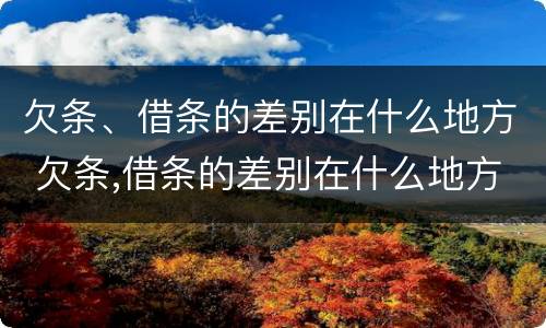 欠条、借条的差别在什么地方 欠条,借条的差别在什么地方写