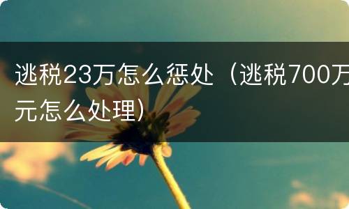 逃税23万怎么惩处（逃税700万元怎么处理）