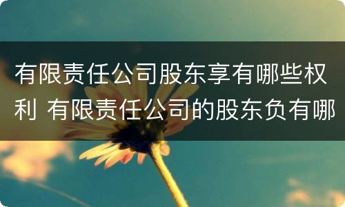 有限责任公司股东享有哪些权利 有限责任公司的股东负有哪些义务?