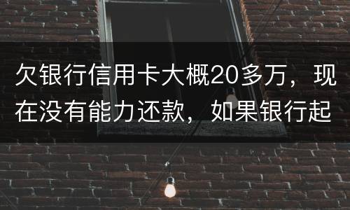 欠银行信用卡大概20多万，现在没有能力还款，如果银行起诉，法院会怎么判决，如果强