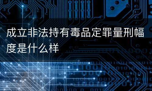 成立非法持有毒品定罪量刑幅度是什么样